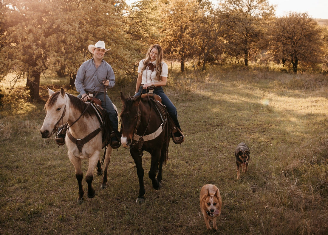 How to Start a Supplement Regimen for Your Horses, Dogs, and You - Silver Lining Herbs
