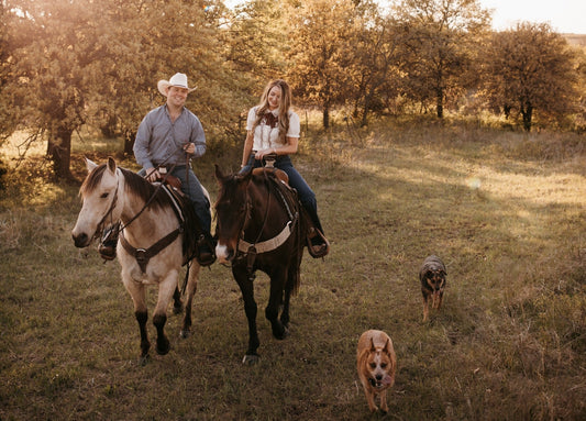 How to Start a Supplement Regimen for Your Horses, Dogs, and You - Silver Lining Herbs