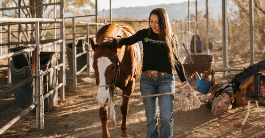 Natural Alternative for Horses that Bleed - Silver Lining Herbs