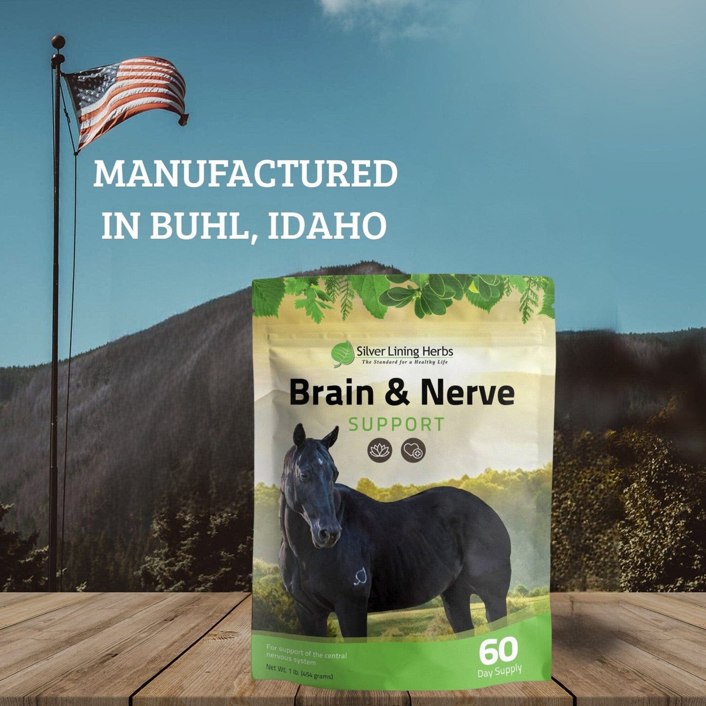 Brain & Nerve Support for Horses - Silver Lining Herbs