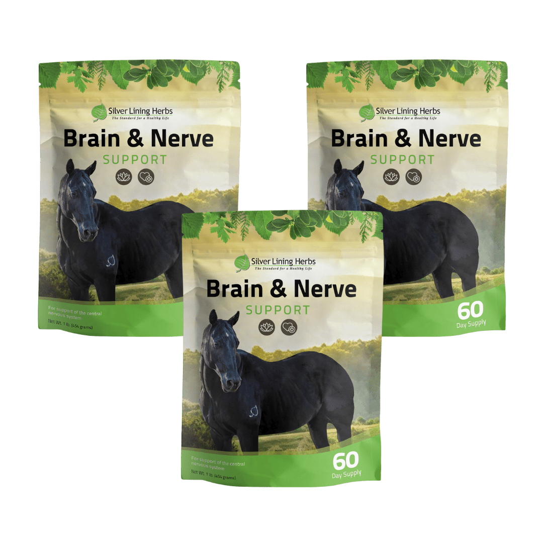 Brain & Nerve Support for Horses - Silver Lining Herbs