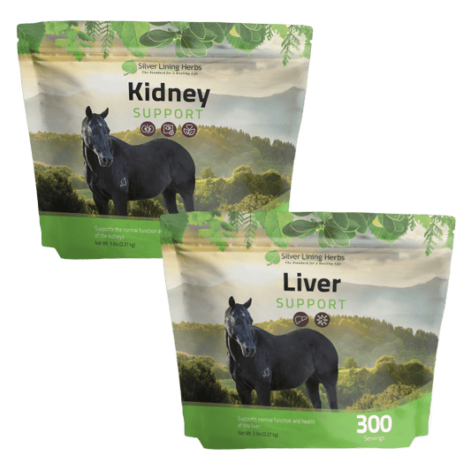 Detox Bundle for Horses - Silver Lining Herbs