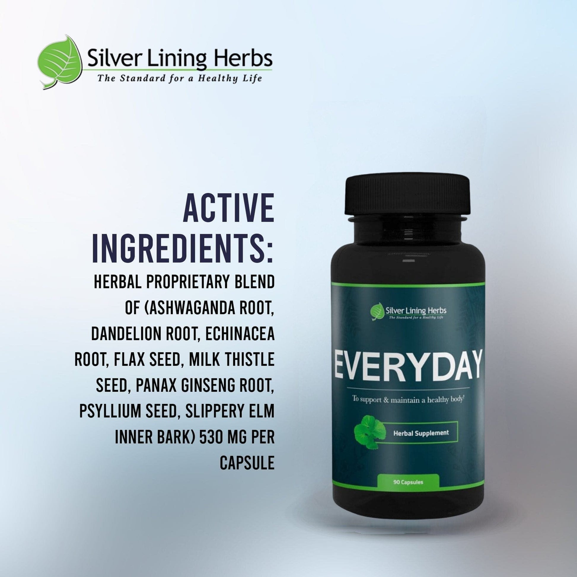 Everyday Herbs - Silver Lining Herbs