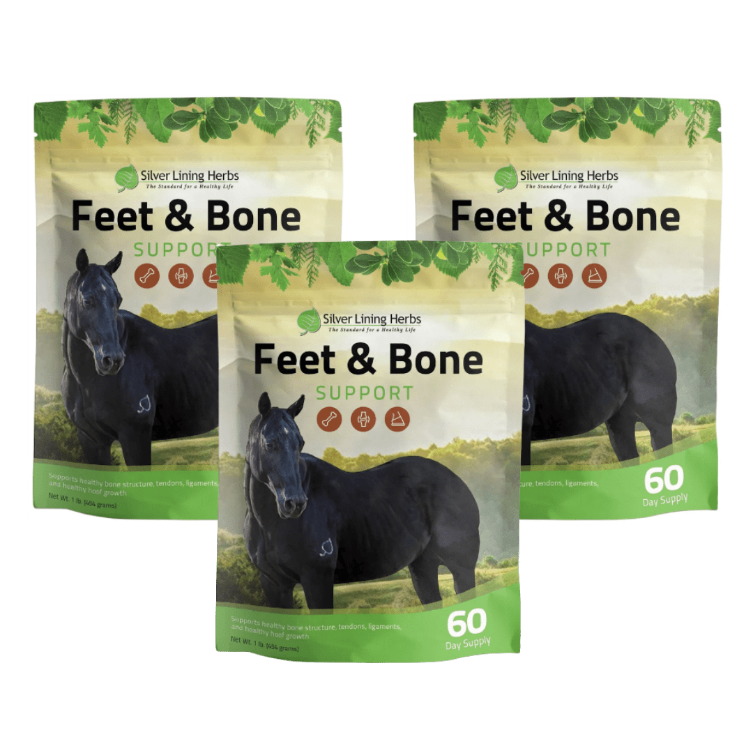 Feet & Bone Support for Horses - Silver Lining Herbs