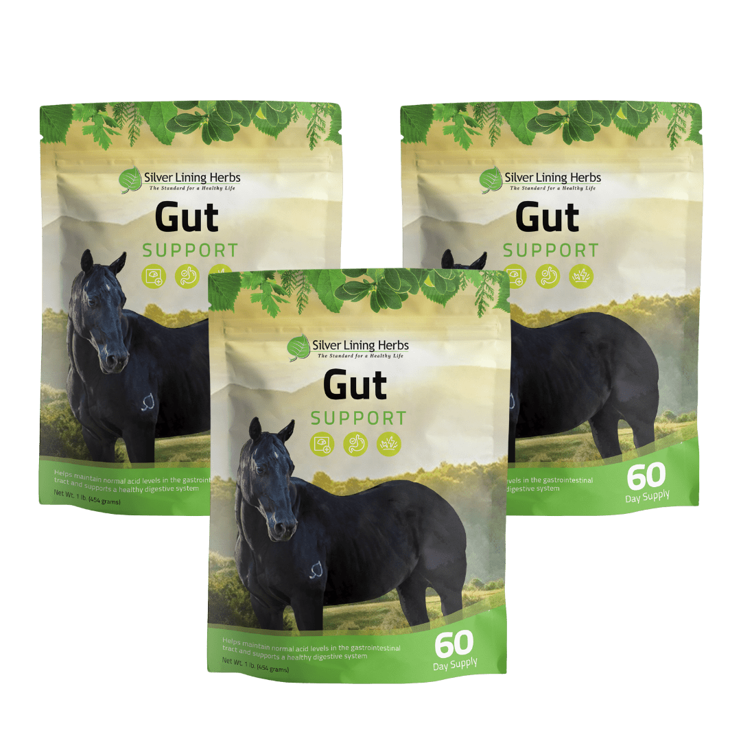 Gut Support for Horses - Silver Lining Herbs