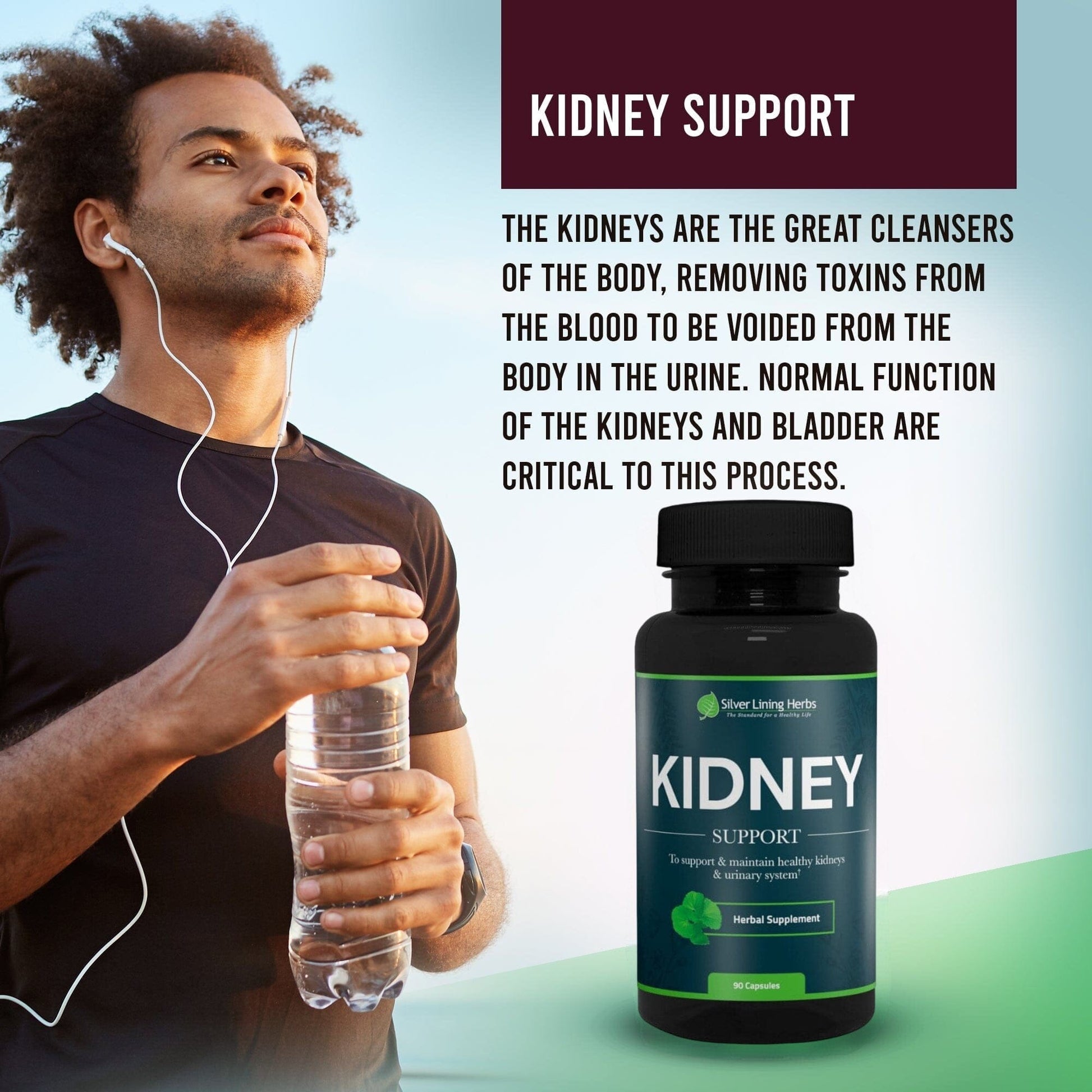 Herbal Kidney Support - Silver Lining Herbs