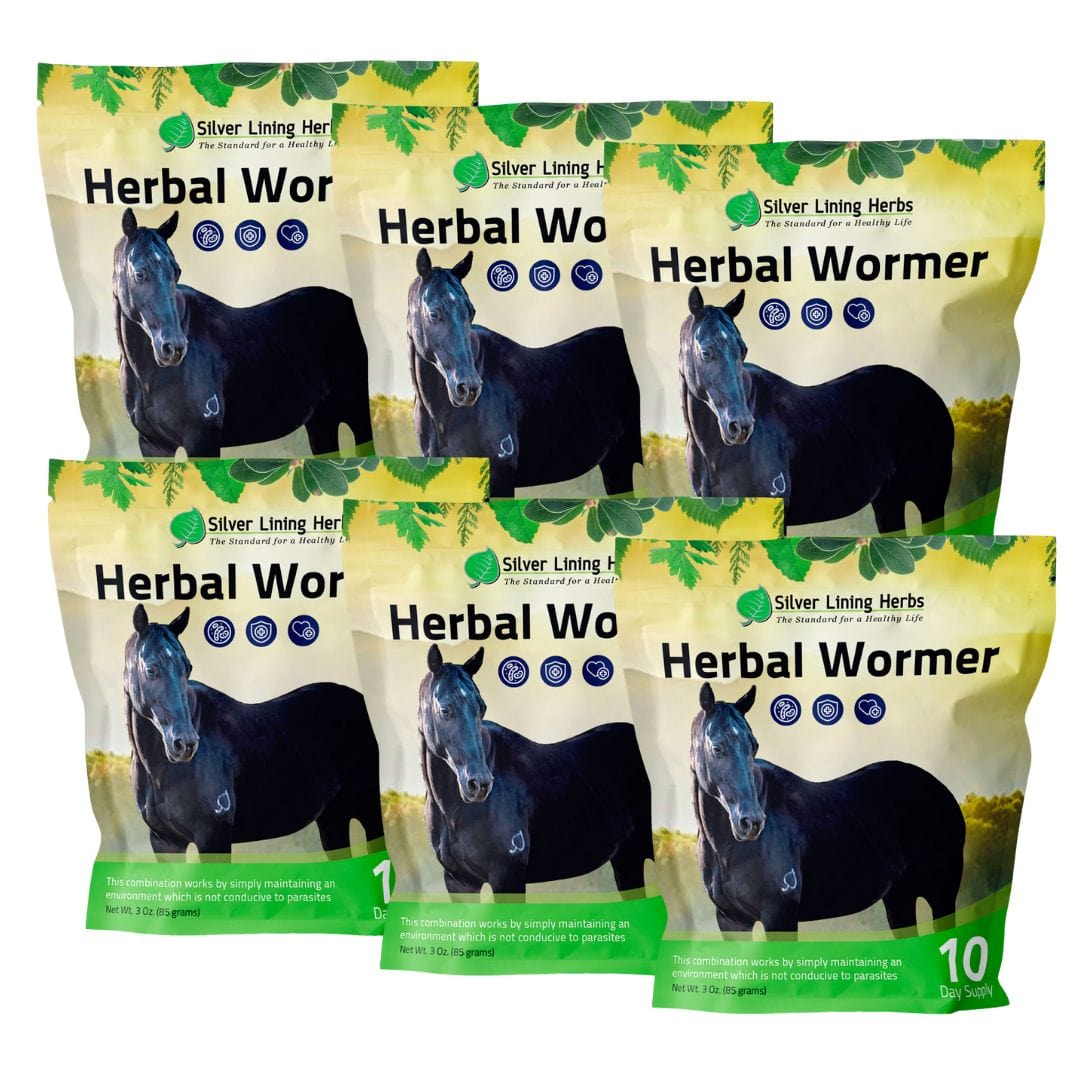 Herbal Wormer for Horses - Silver Lining Herbs