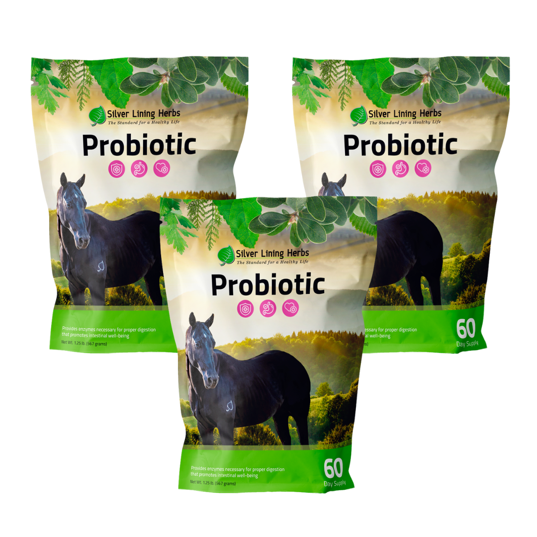 Horse Probiotics - Silver Lining Herbs