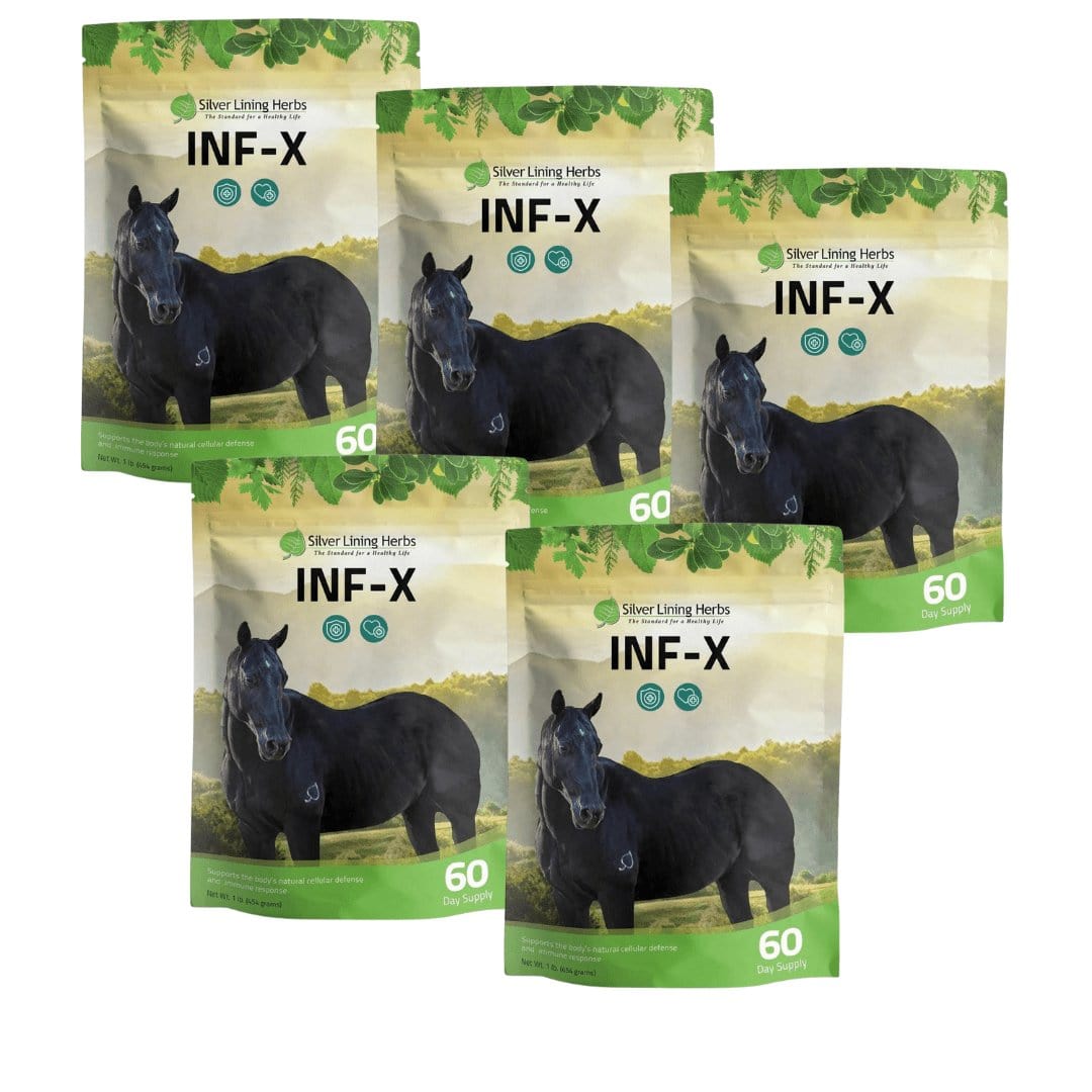INF-X for Horses - Silver Lining Herbs