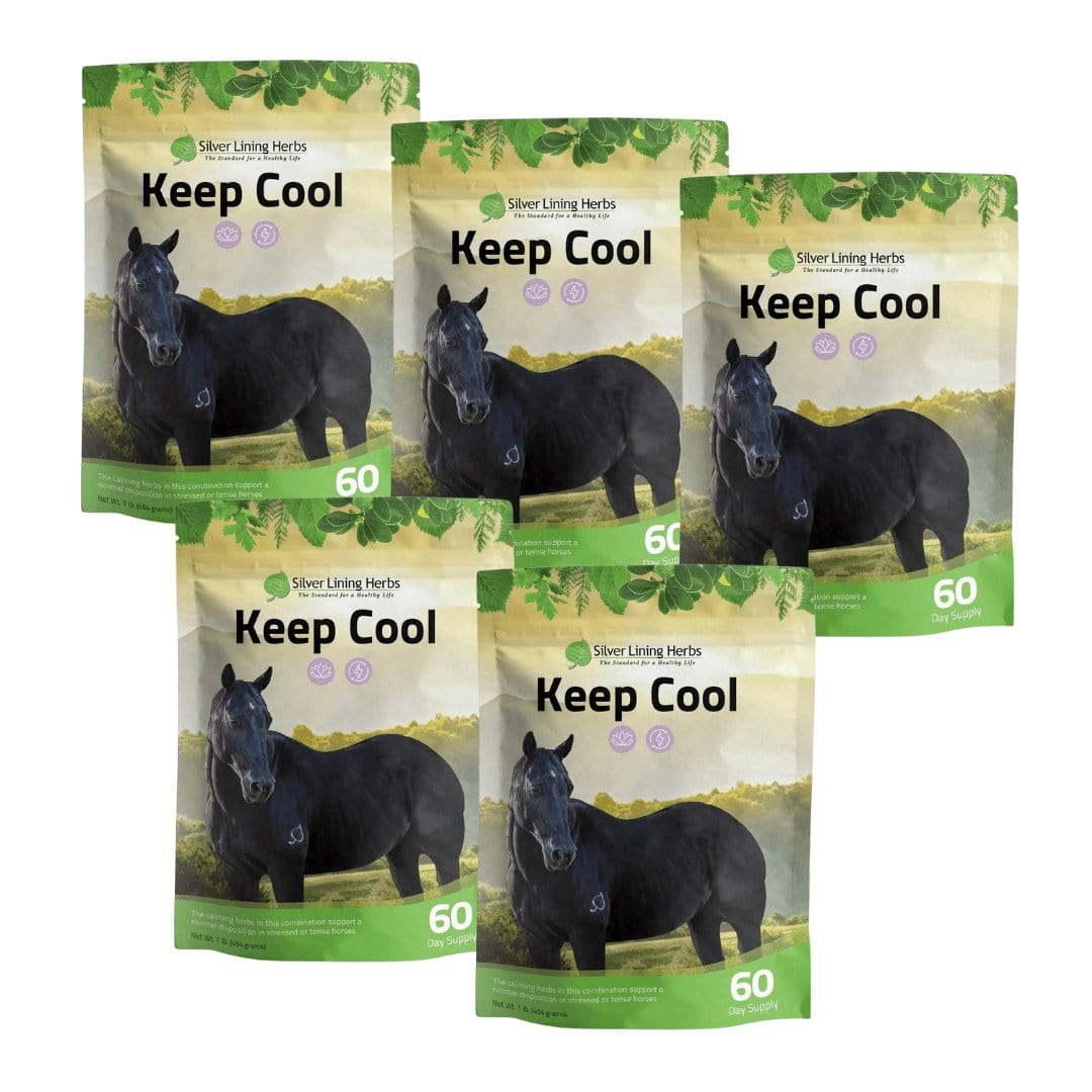 Keep Cool for Horses - Silver Lining Herbs