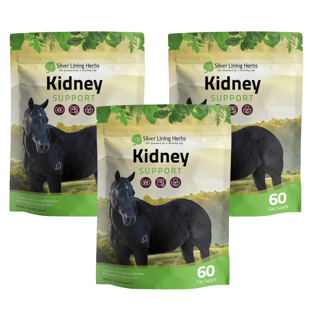 Kidney Support for Horses - Silver Lining Herbs