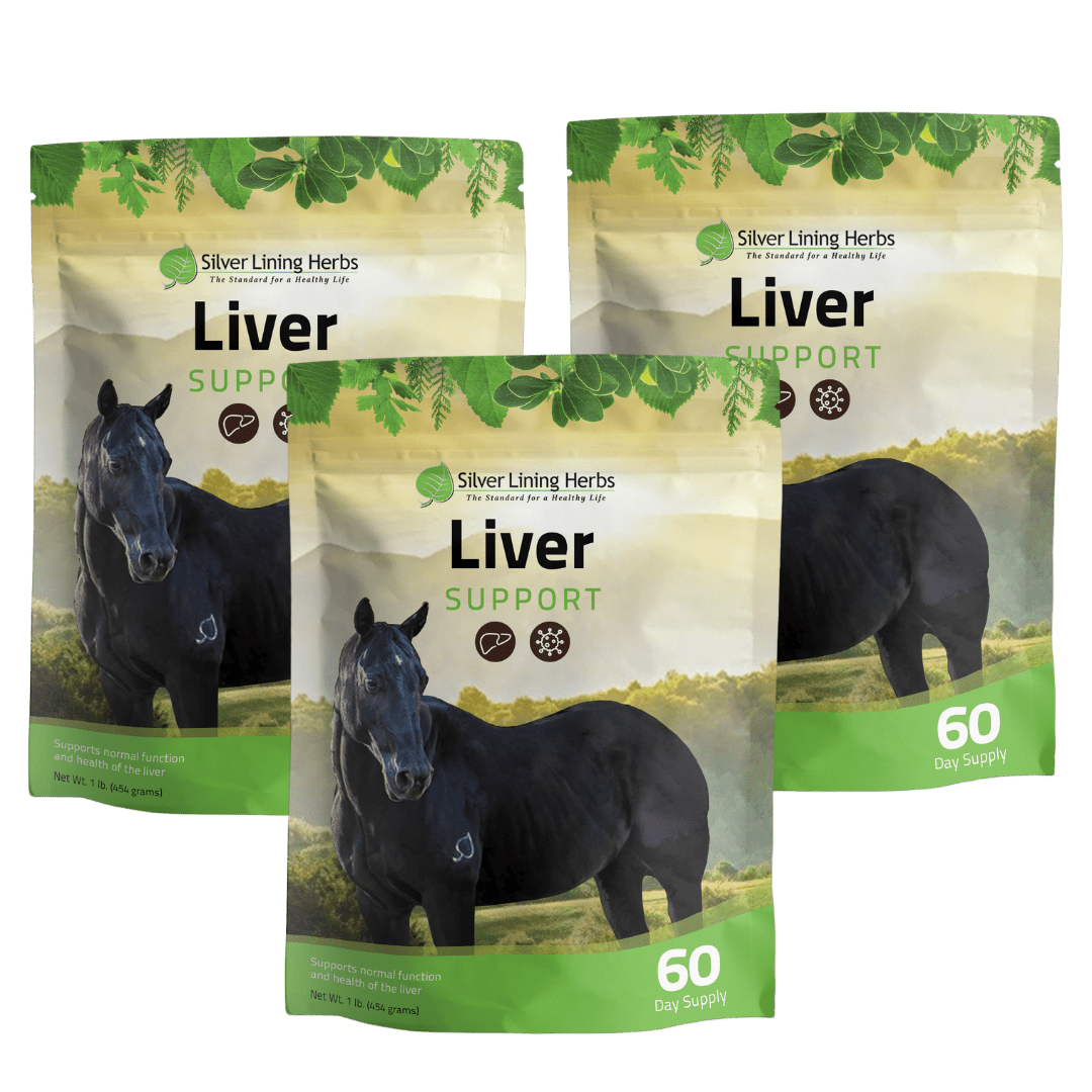 Liver Support for Horses - Silver Lining Herbs