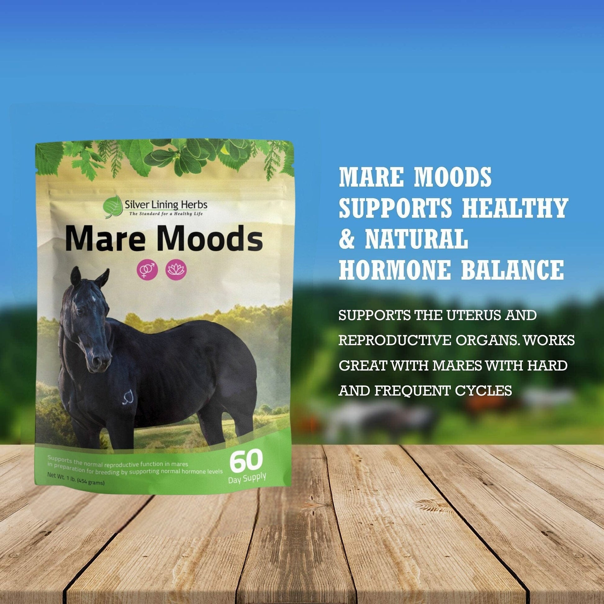 Mare Moods - Silver Lining Herbs