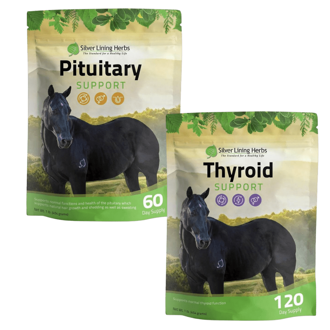 Metabolic Bundle for Horses - Silver Lining Herbs