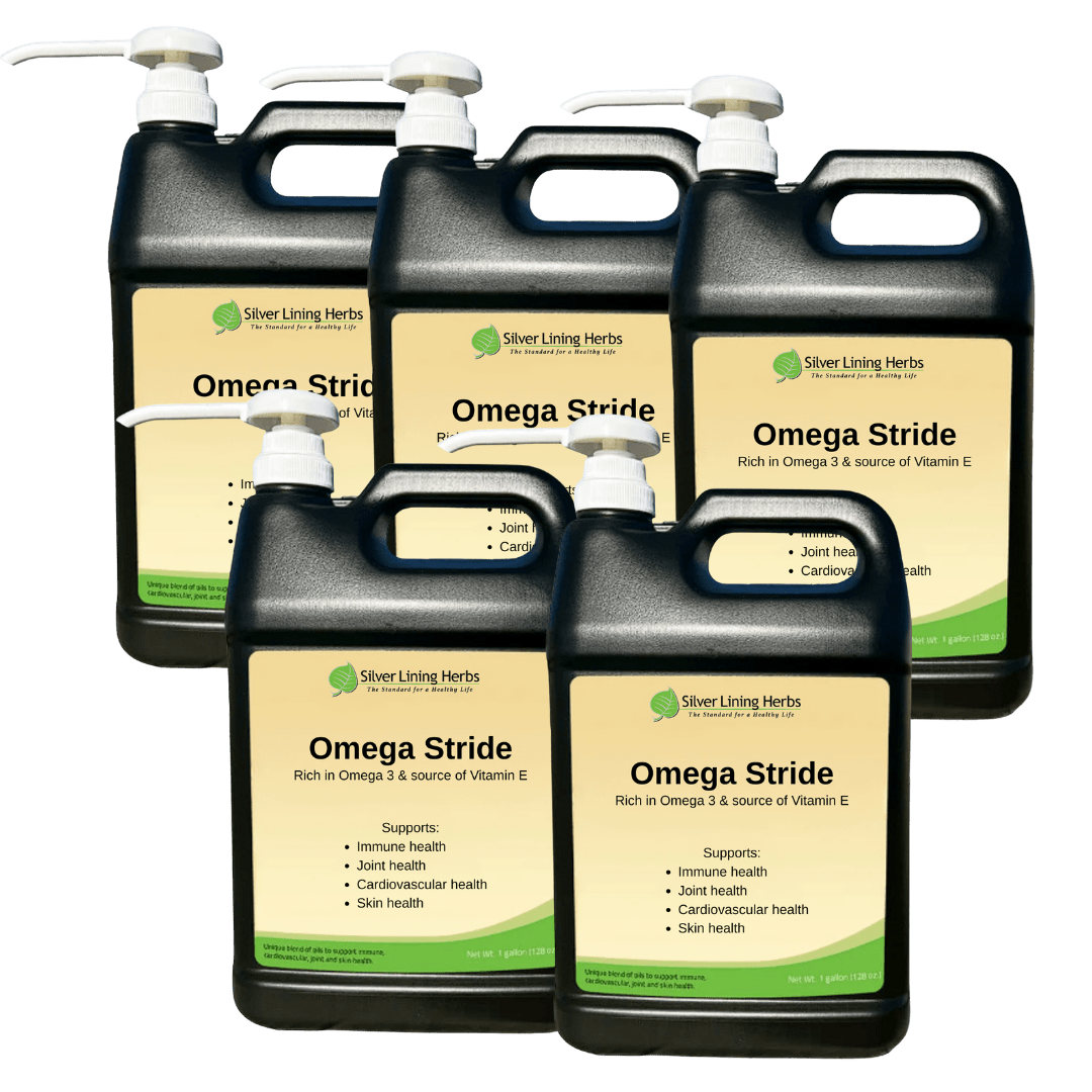 Omega Stride for Horses - Silver Lining Herbs