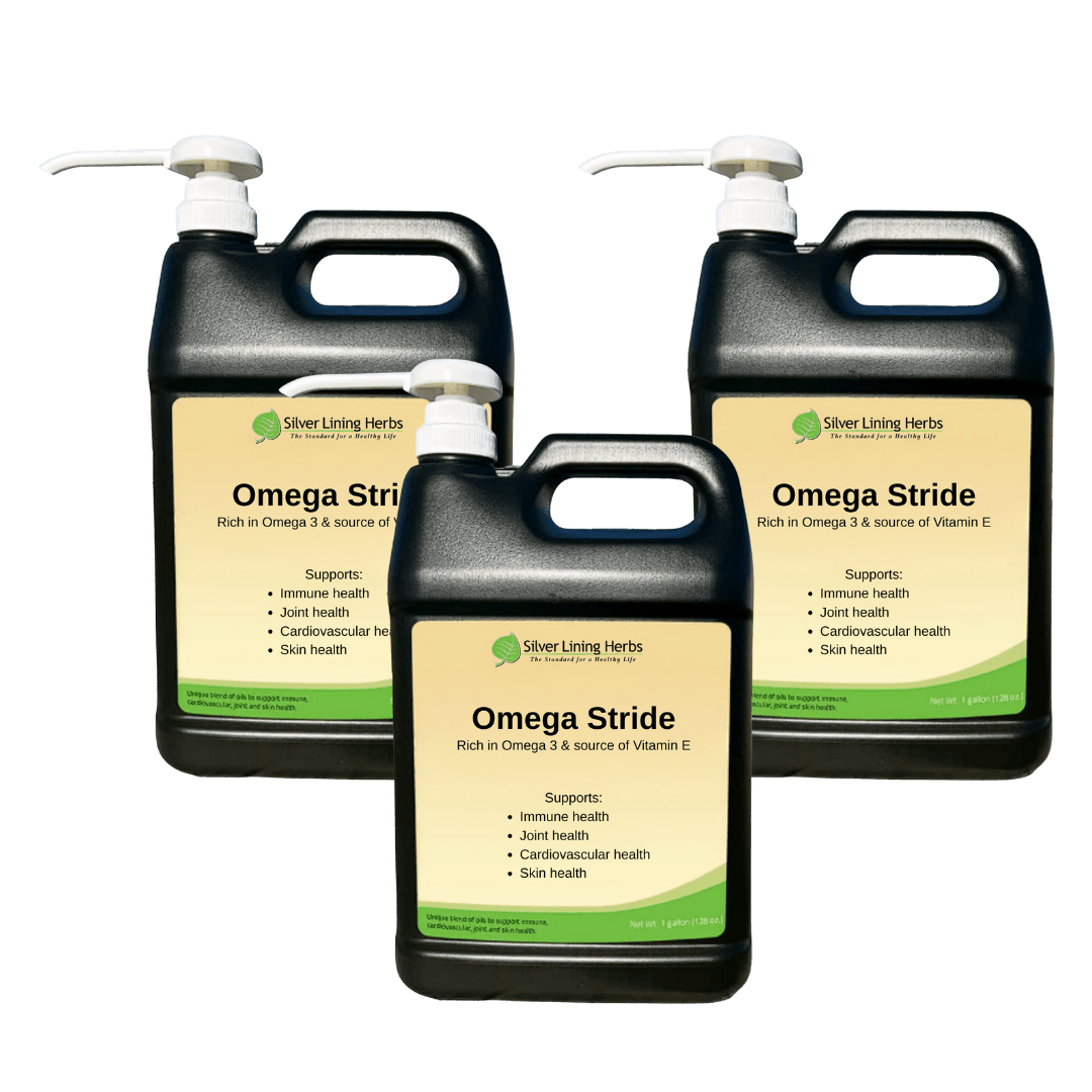 Omega Stride for Horses - Silver Lining Herbs