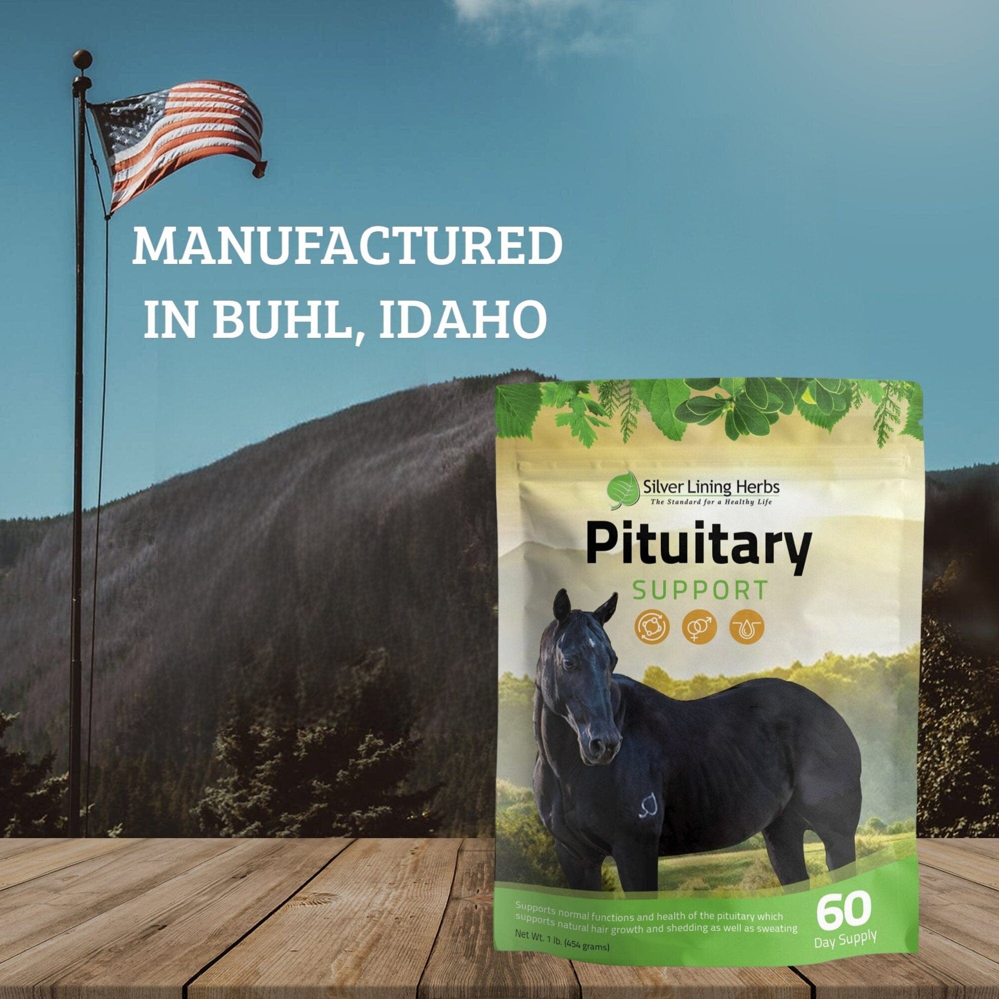 Pituitary Support for Horses - Silver Lining Herbs