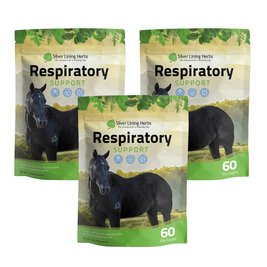 Respiratory Support for Horses - Silver Lining Herbs