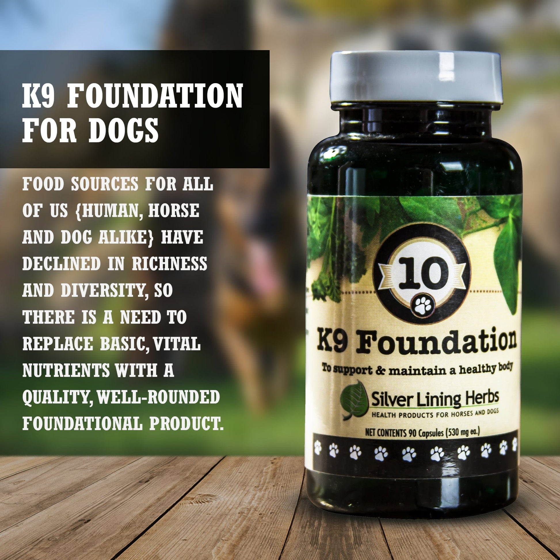 10 Foundation for Dogs - Silver Lining Herbs