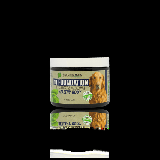 10 Foundation for Dogs - Silver Lining Herbs