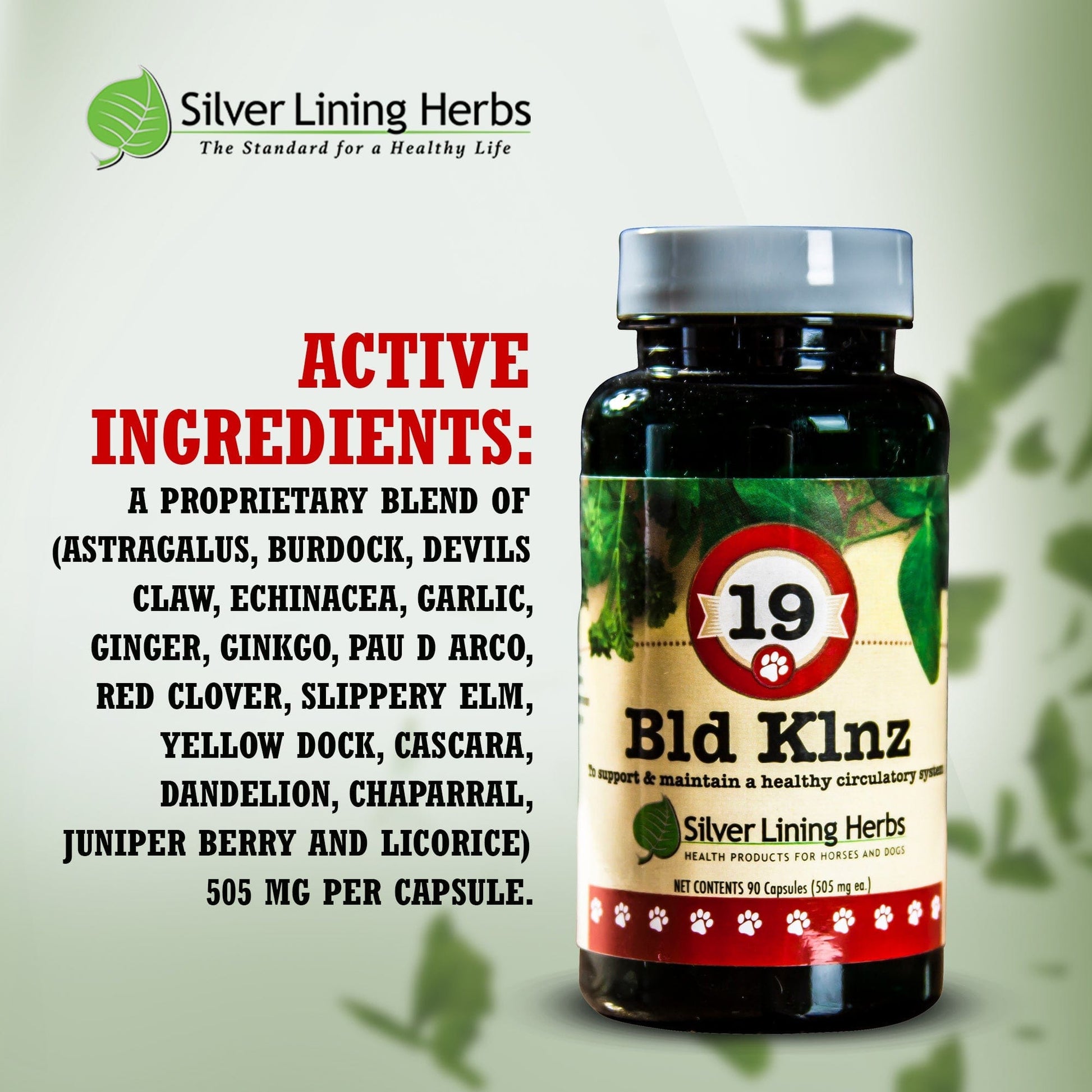 19 Bld Klnz for Dogs - Silver Lining Herbs