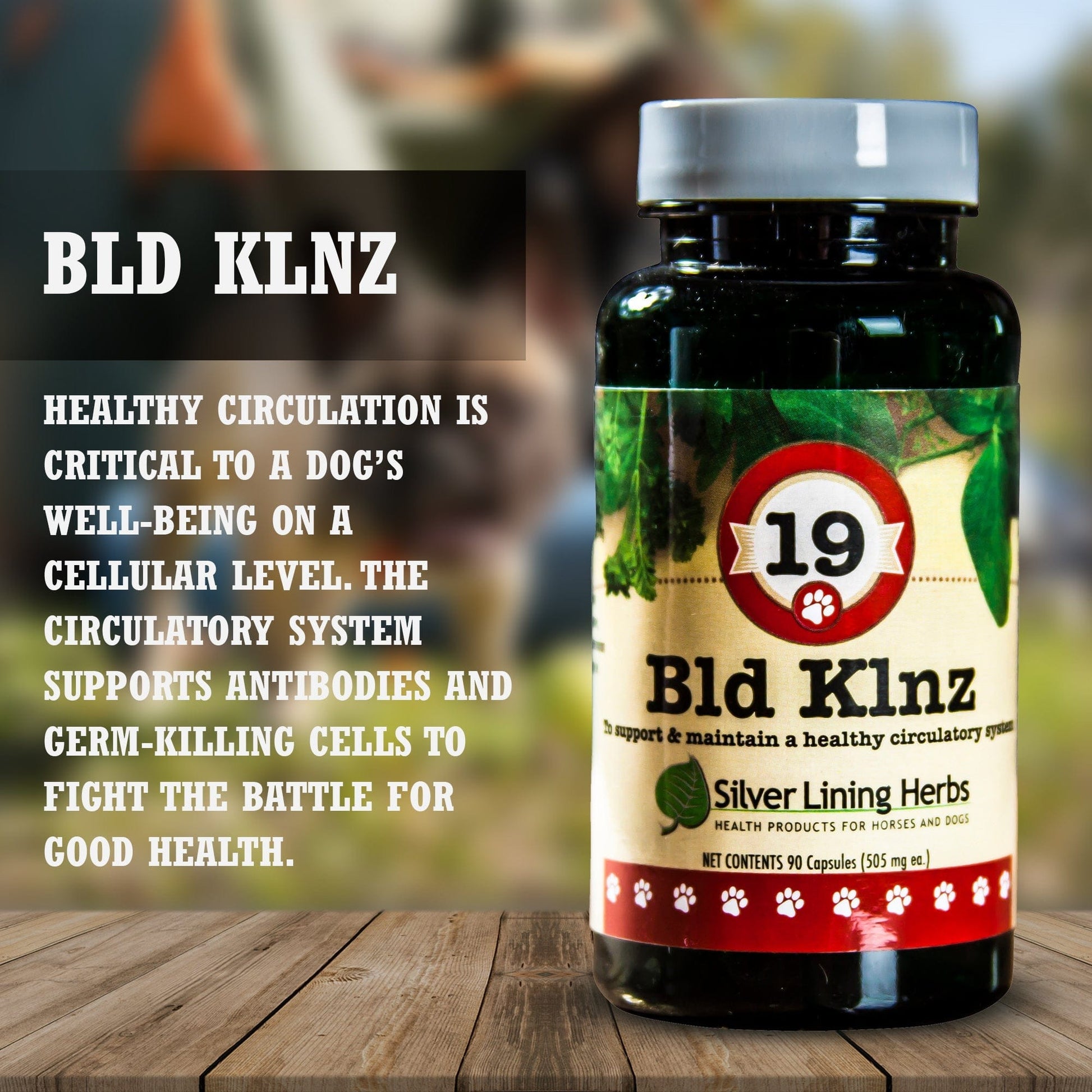 19 Bld Klnz for Dogs - Silver Lining Herbs