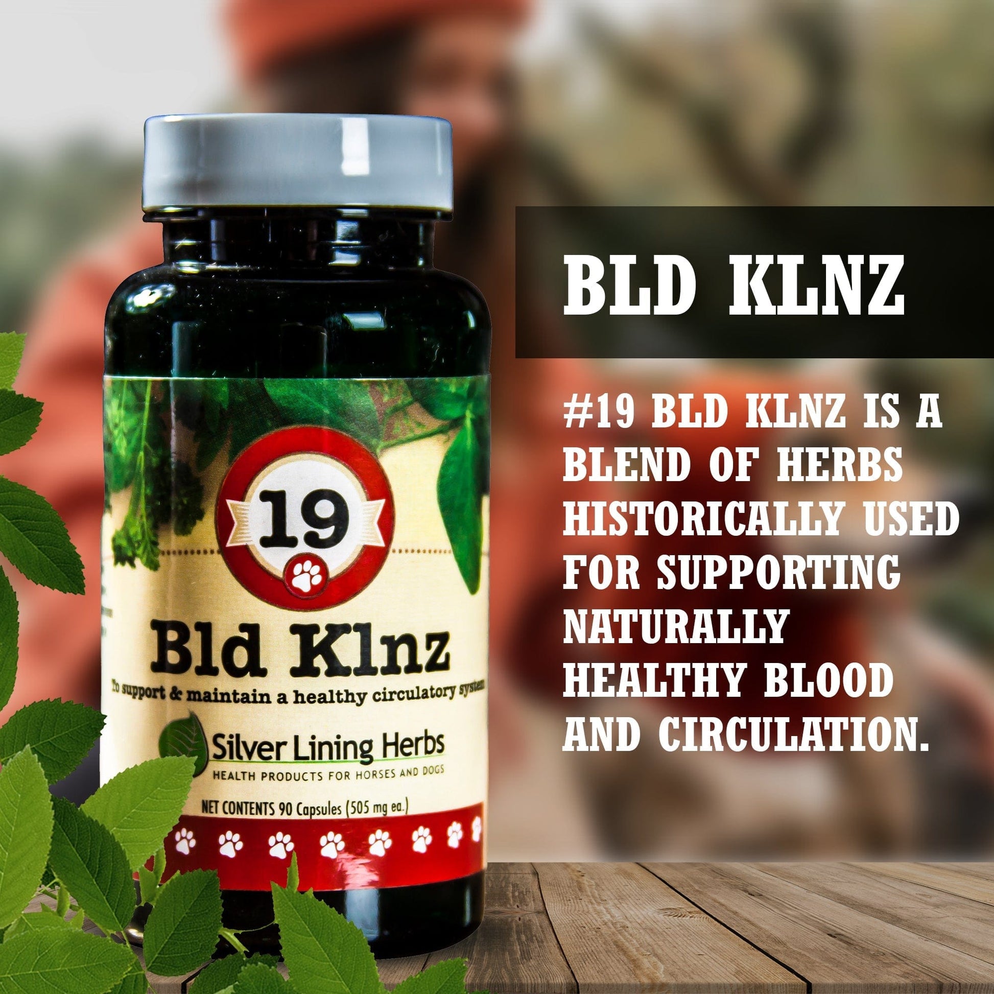 19 Bld Klnz for Dogs - Silver Lining Herbs