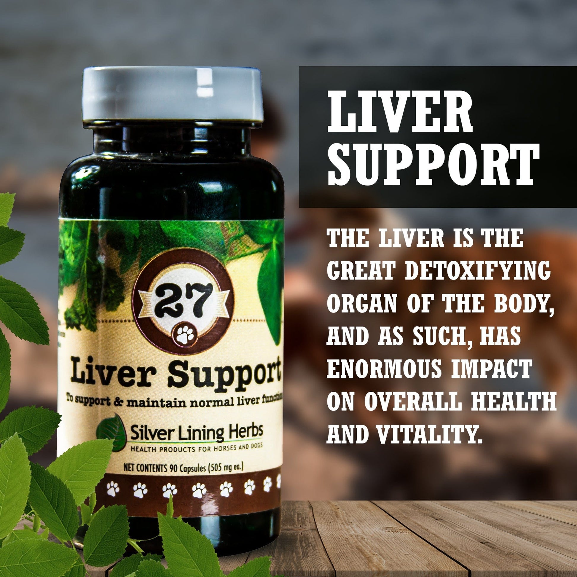 A bottle of #27 Liver Support for Dogs, with an explanation of the liver’s importance for health