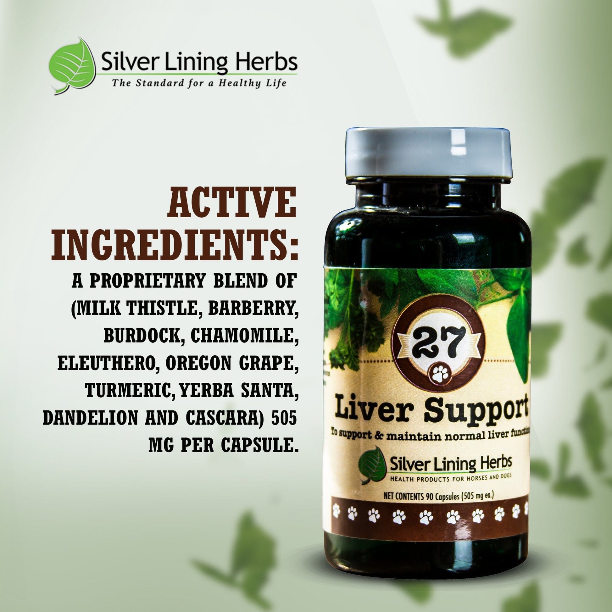 A bottle of #27 Liver Support for Dogs with a list of its active ingredients
