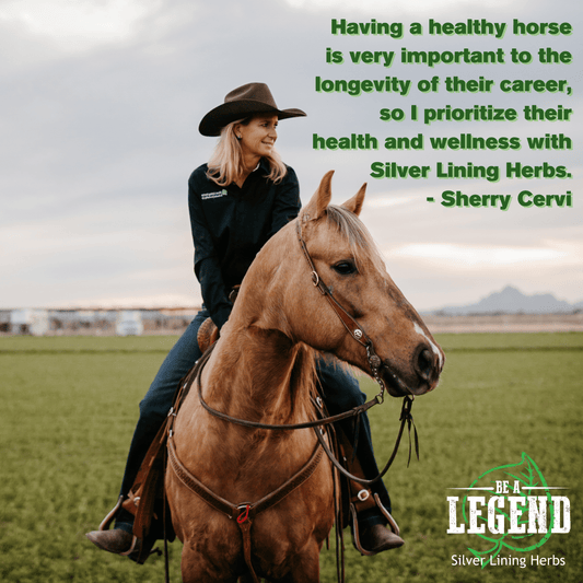 The Sherry Cervi Bundle Boxes