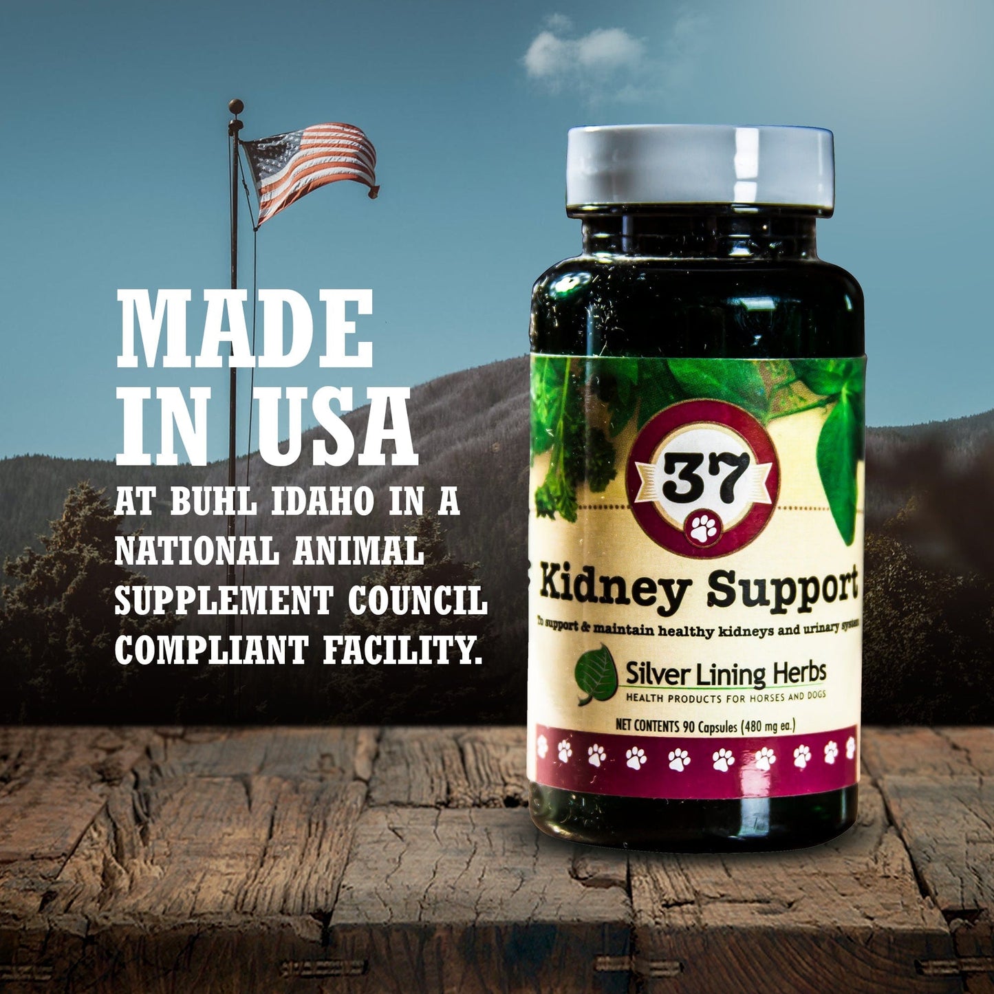 37 Kidney Support for Dogs - 90 Capsule - Silver Lining Herbs