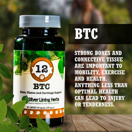 BTC Bone Tissue and Cartilage Support - Silver Lining Herbs