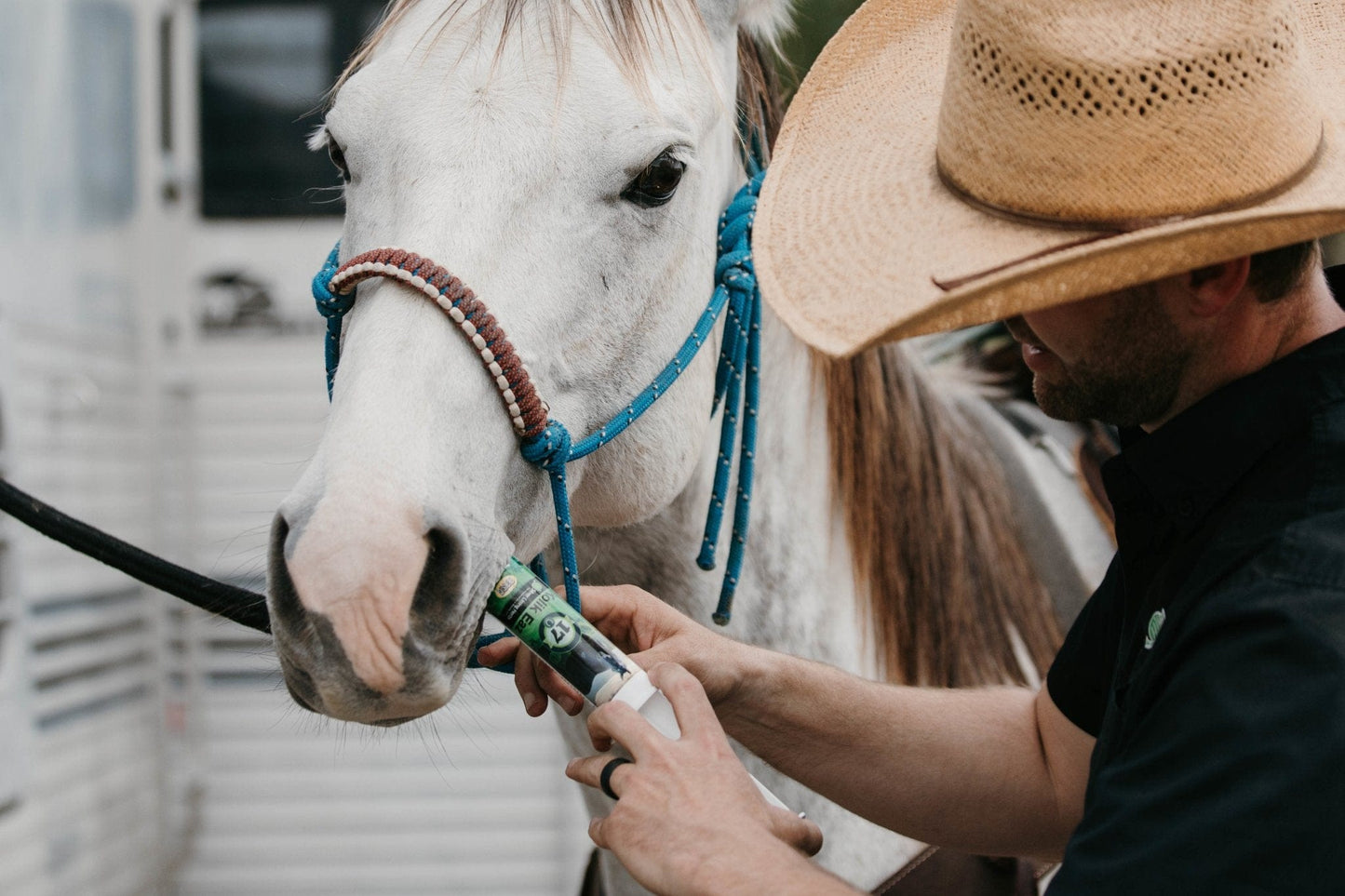 Colic Eaz for Horses - Silver Lining Herbs