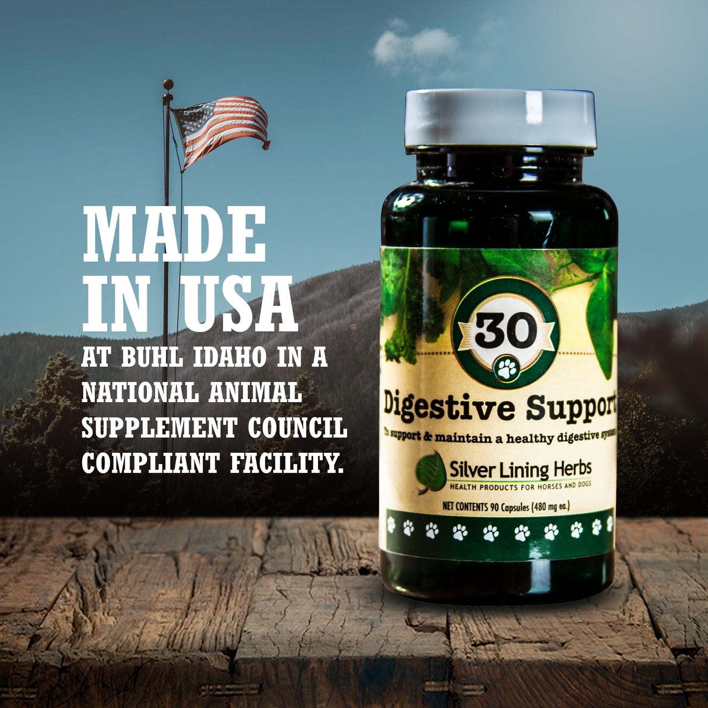 Digestive Support for Dogs - Silver Lining Herbs