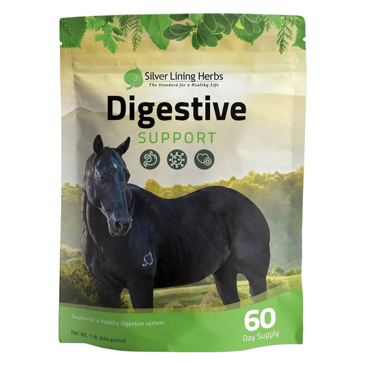 Digestive Support for Horses - Silver Lining Herbs