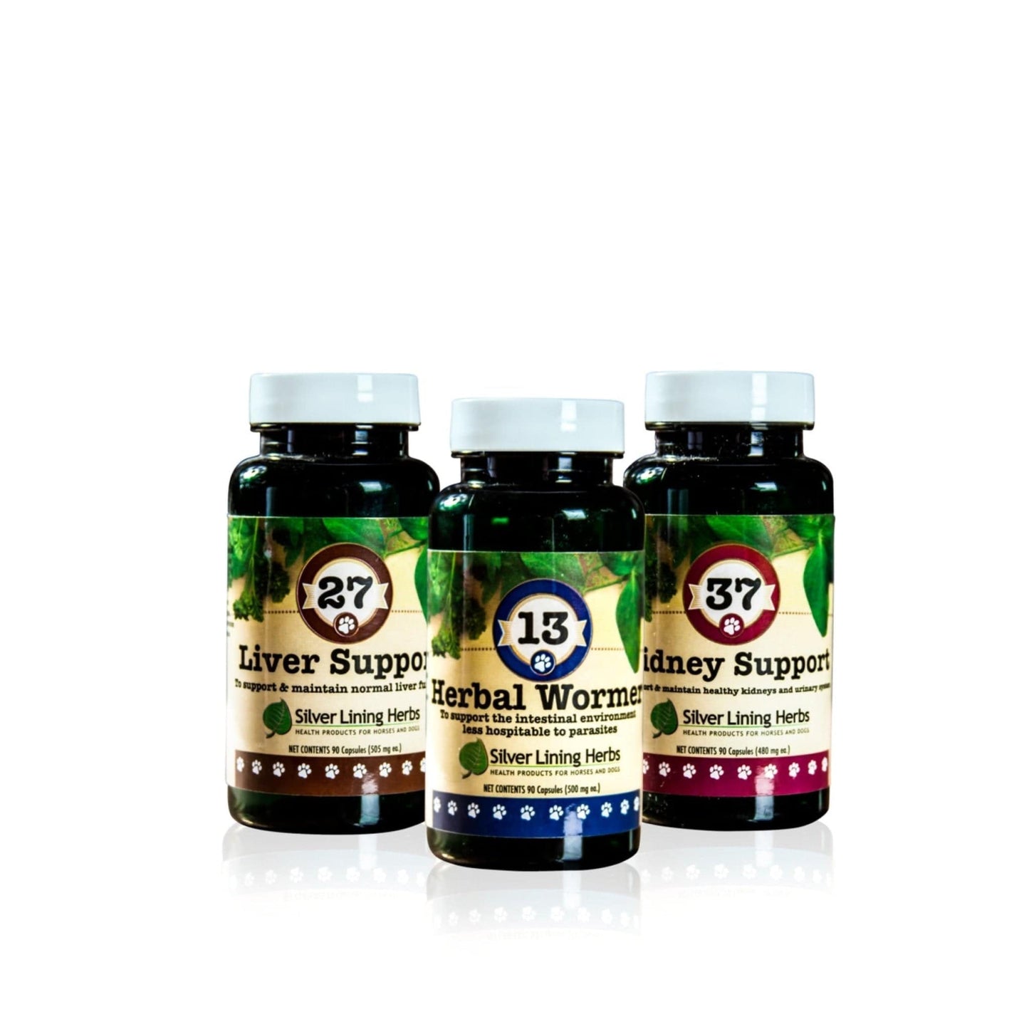 Fall Bundle for Dogs - Silver Lining Herbs