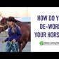 Herbal Wormer for Horses