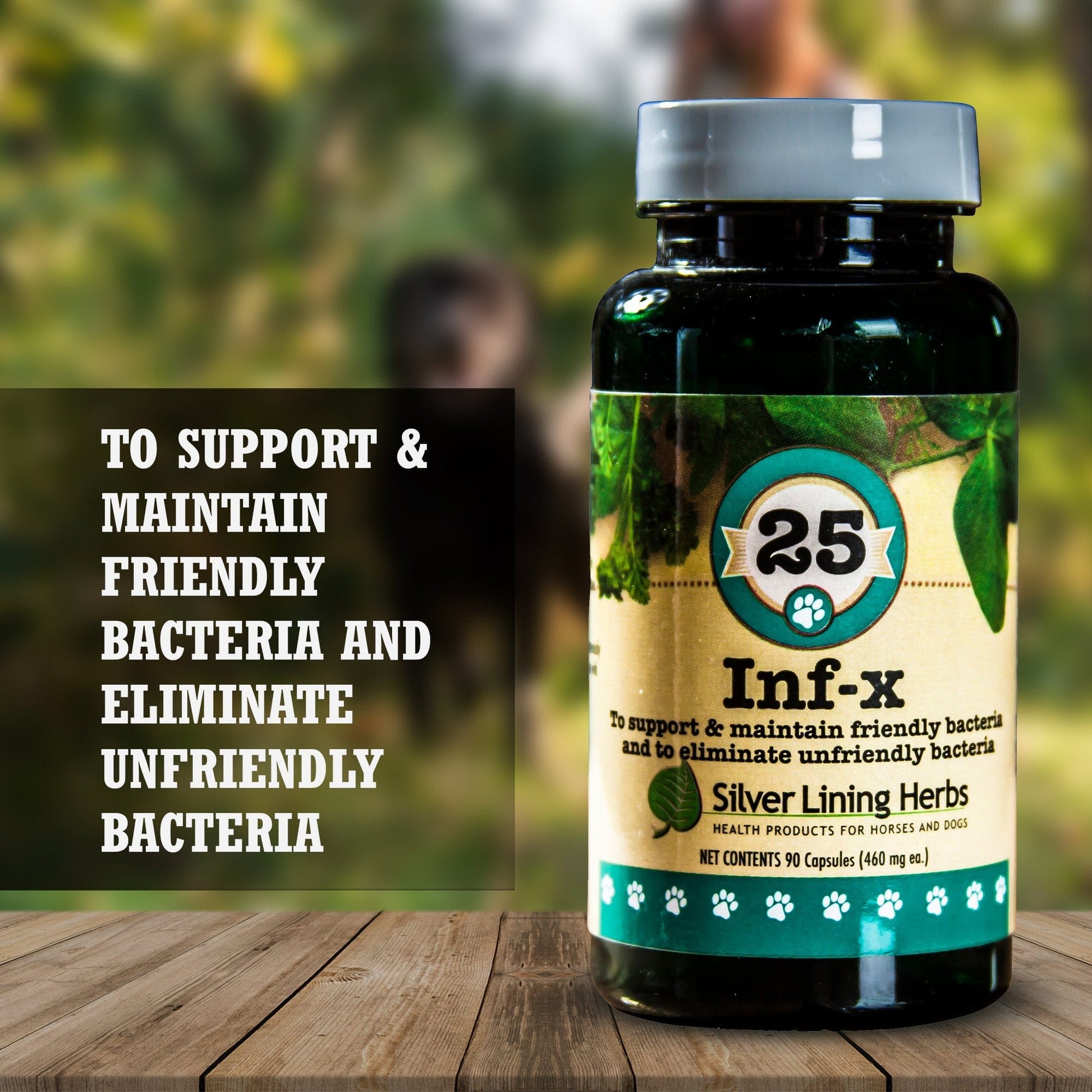 INF-X for Dogs - 90 Capsules - Silver Lining Herbs