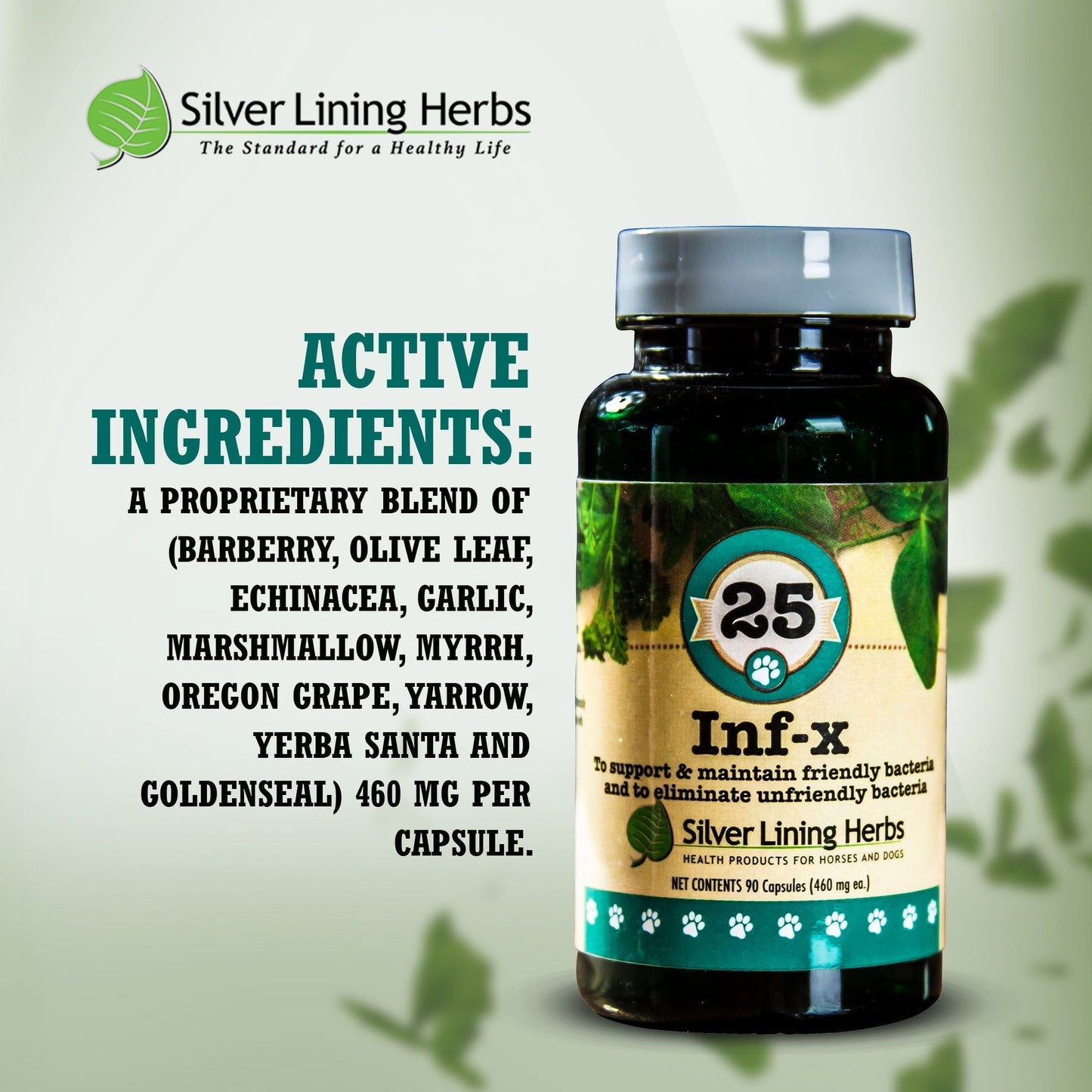 INF-X for Dogs - 90 Capsules - Silver Lining Herbs