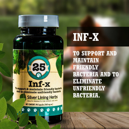 INF-X for Dogs - 90 Capsules - Silver Lining Herbs