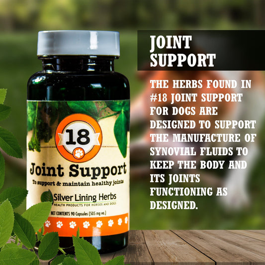 Joint Support for Dogs - Silver Lining Herbs