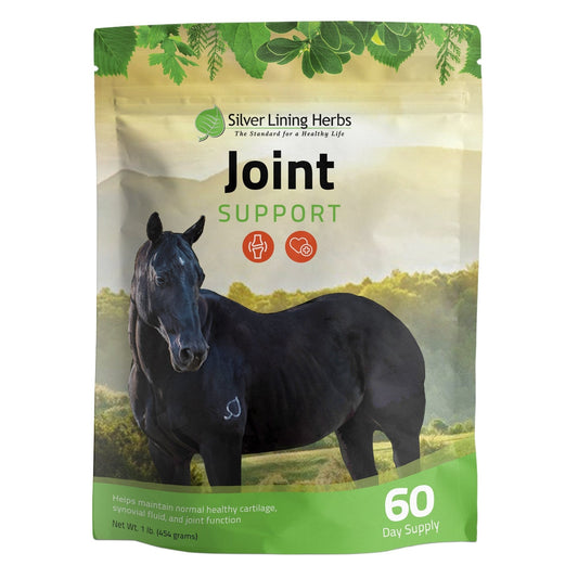 Joint Support for Horses - Silver Lining Herbs