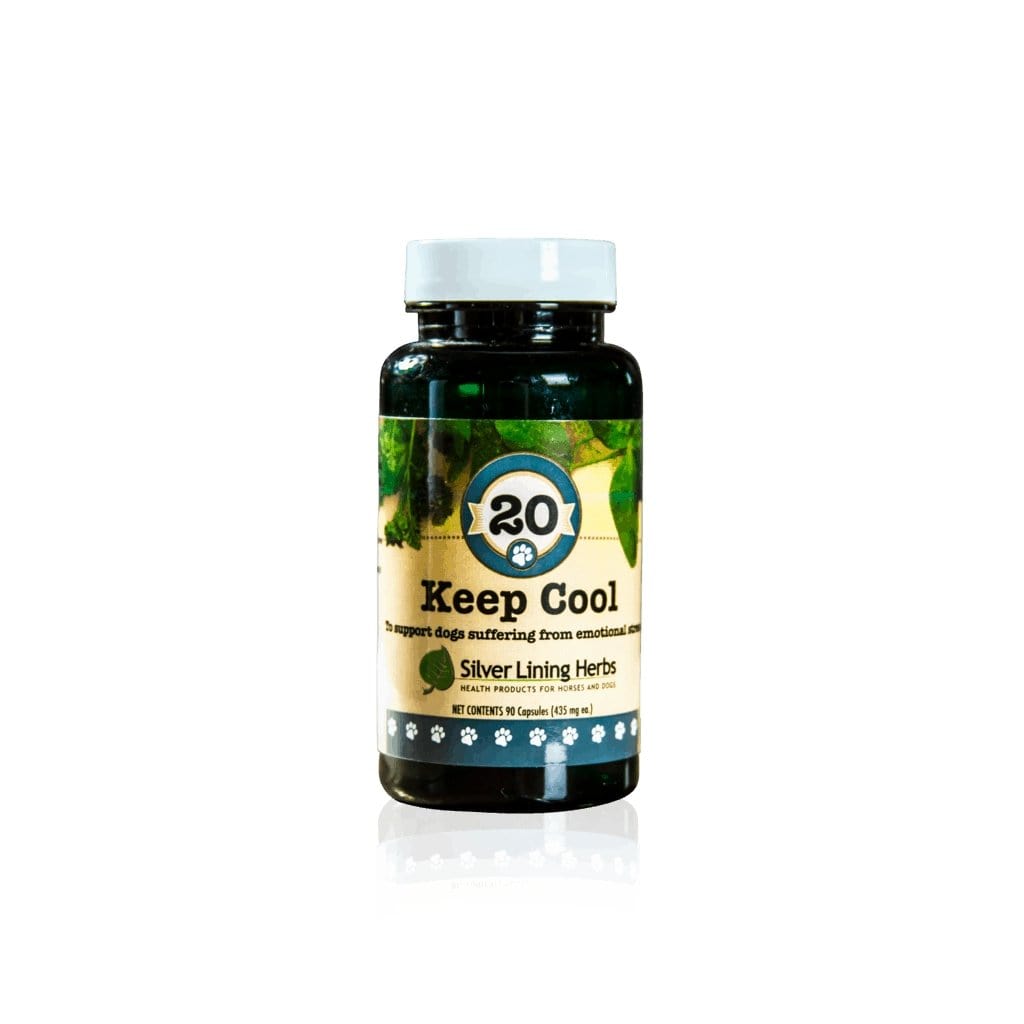Keep Cool for Dogs - Silver Lining Herbs