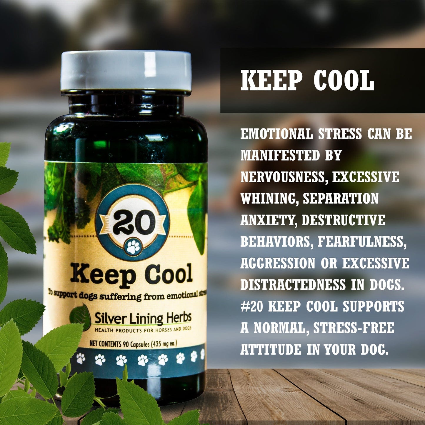 Keep Cool for Dogs - Silver Lining Herbs