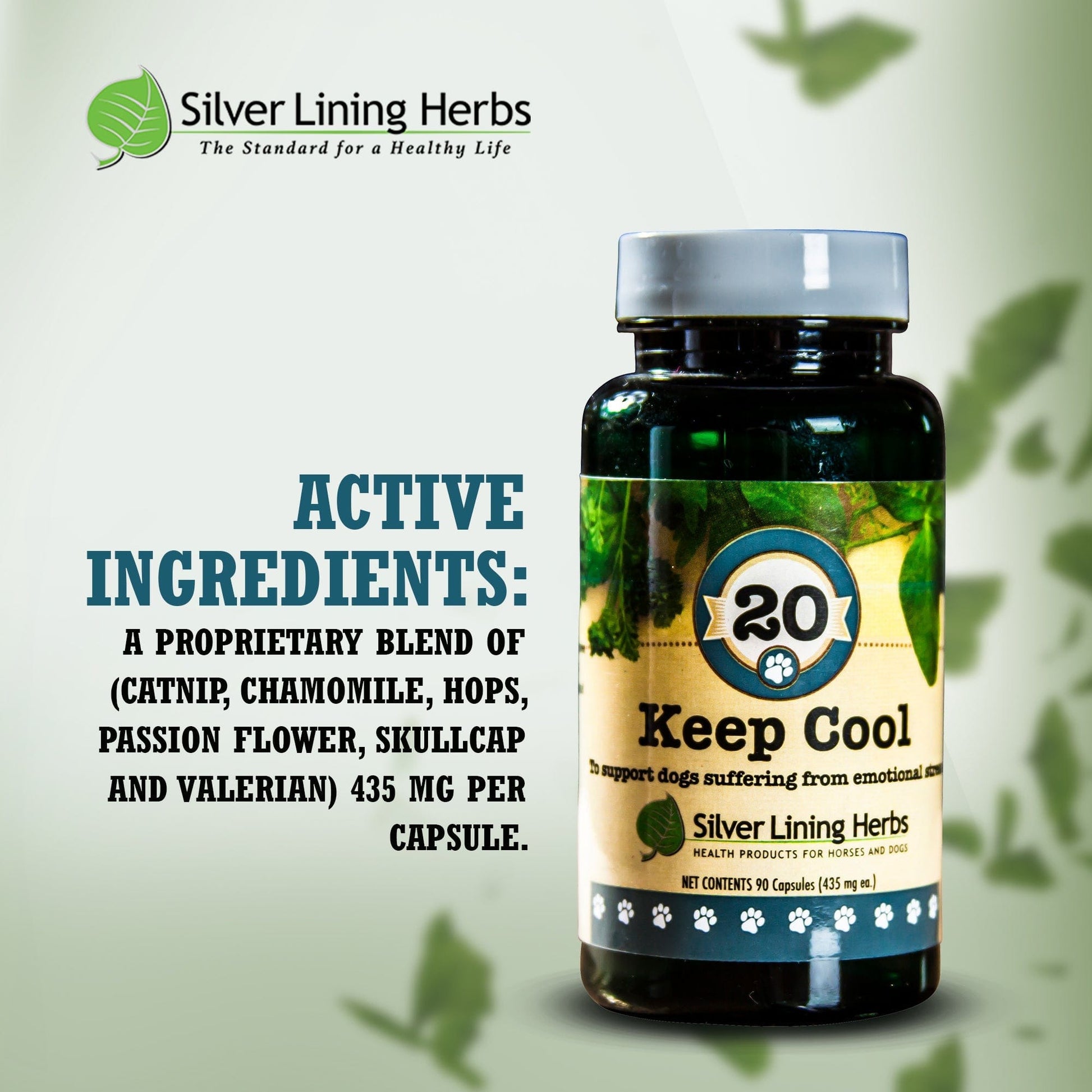 Keep Cool for Dogs - Silver Lining Herbs