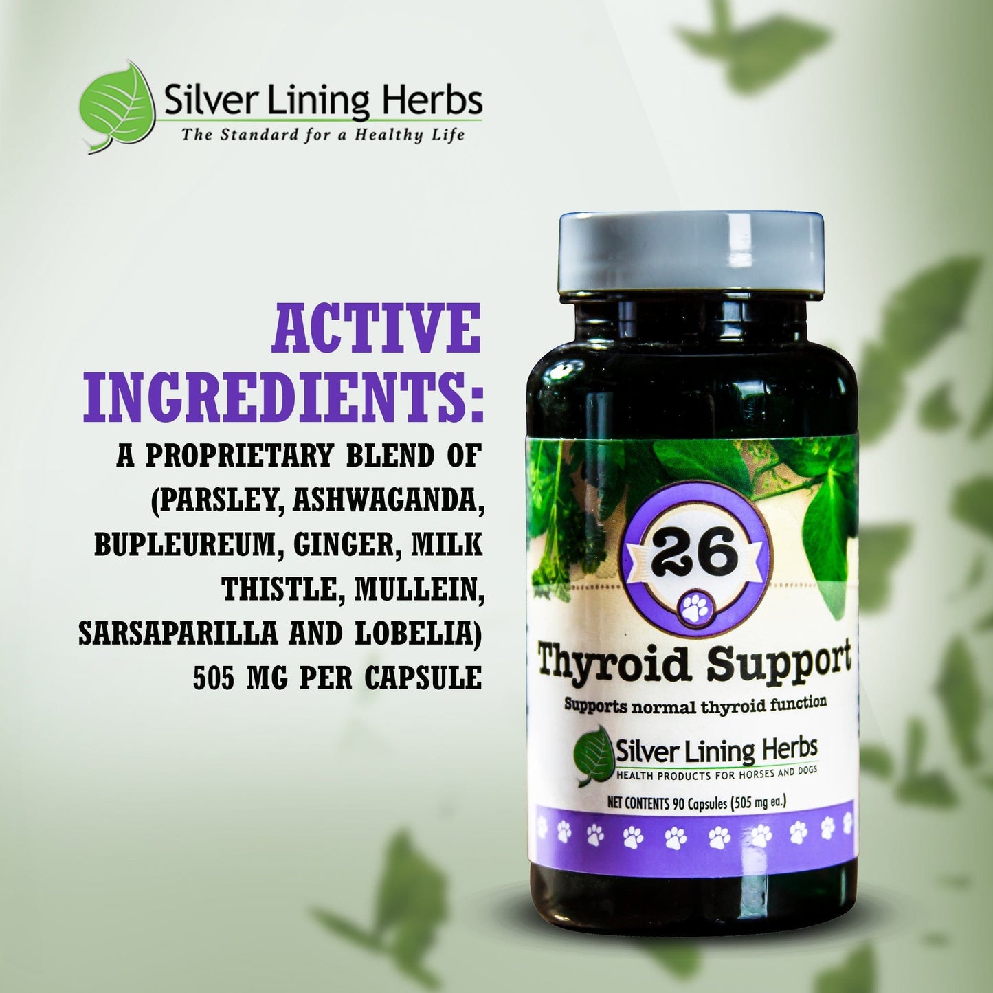 A bottle of #26 Thyroid Support for Dogs with a list of active ingredients