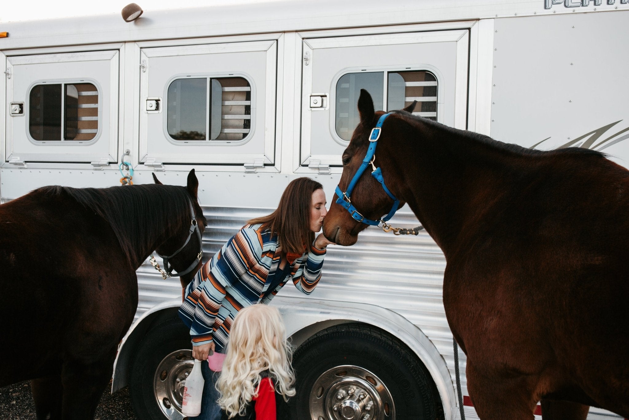 3 Reasons to Give Your Horse Silver Lining Herbs’ Digestive Support This Season! - Silver Lining Herbs