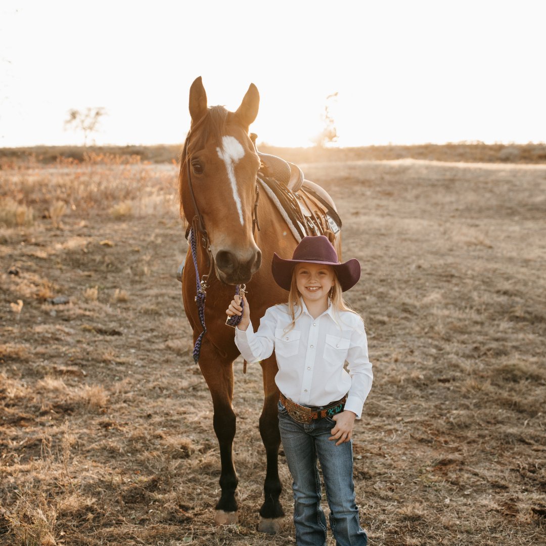 3 Reasons Why Consistency Is Key When It Comes to Horse Supplements - Silver Lining Herbs
