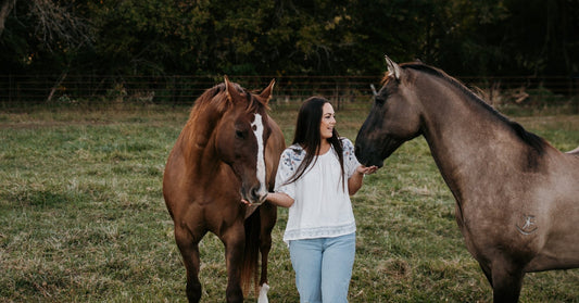 4 Tips to Help Your Horses Deal With Poor Air Quality - Silver Lining Herbs