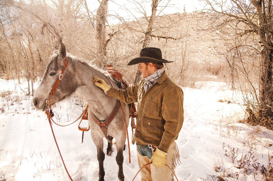 4 Ways to Protect Your Animals From Icy Weather&nbsp; - Silver Lining Herbs